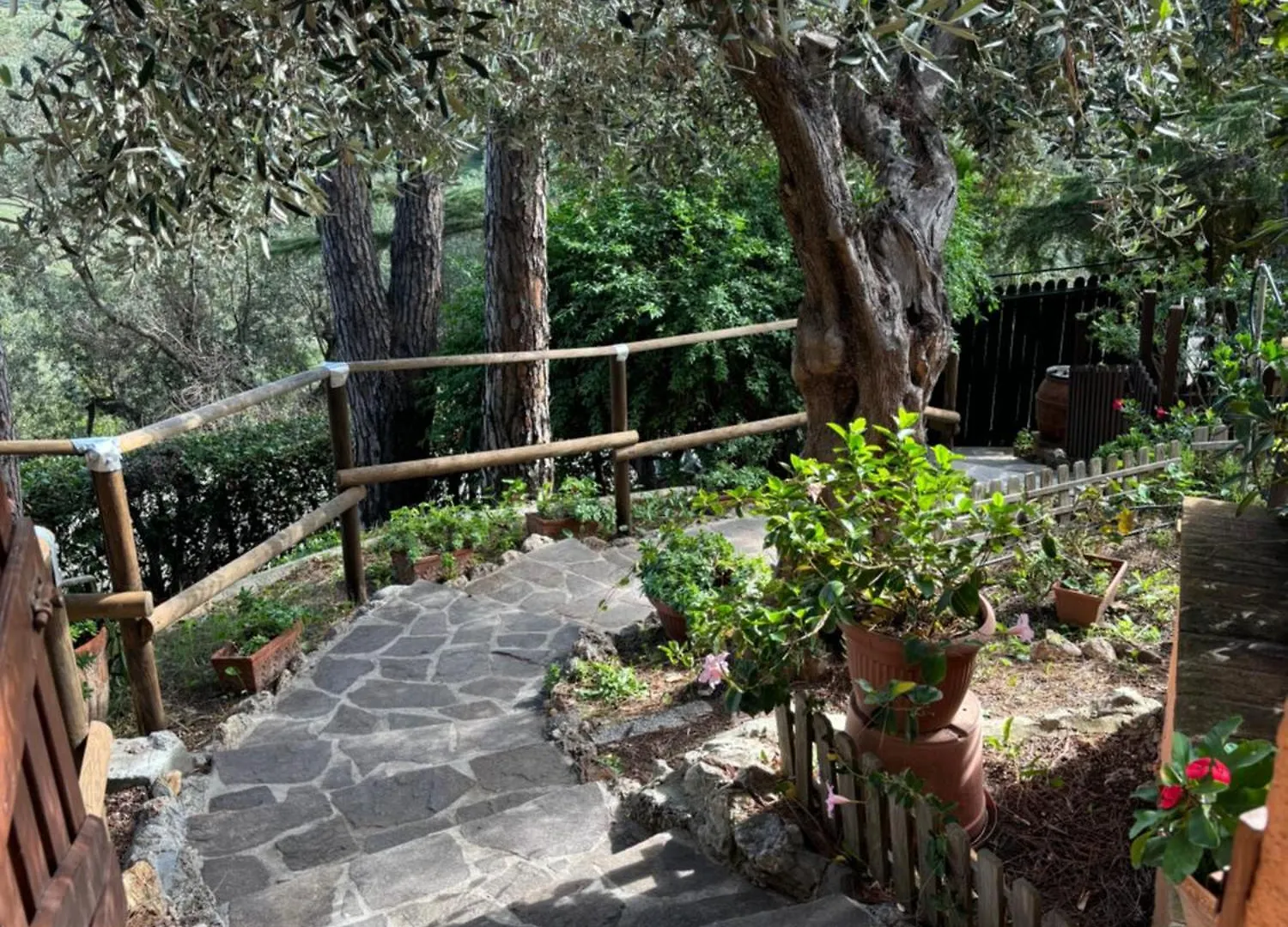 Villetta Nel Verde Vicino Holiday home Talamone